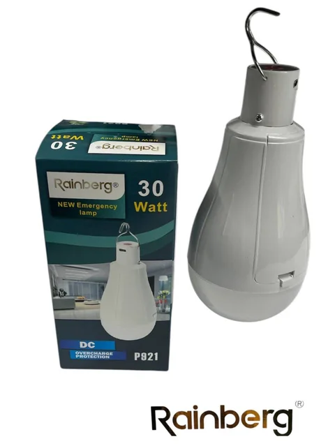 Підвісна LED-лампа Rainberg P921 30 Вт з 2 акумуляторами 18650, micro USB