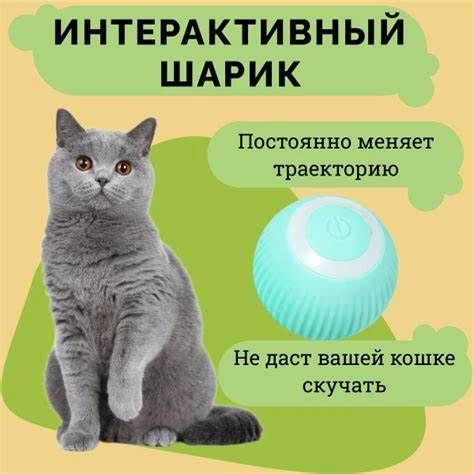Інтерактивний м’ячик для котів і малих собак, що обертається, USB
